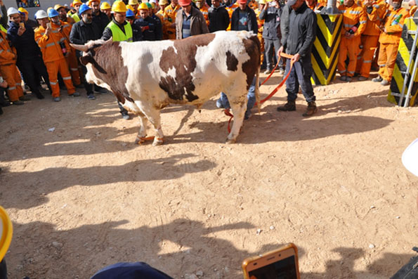 a6364566893787208694817381163649971122053822492461427.jpg a6364566893787208694817381163649971122053822492461427.jpg